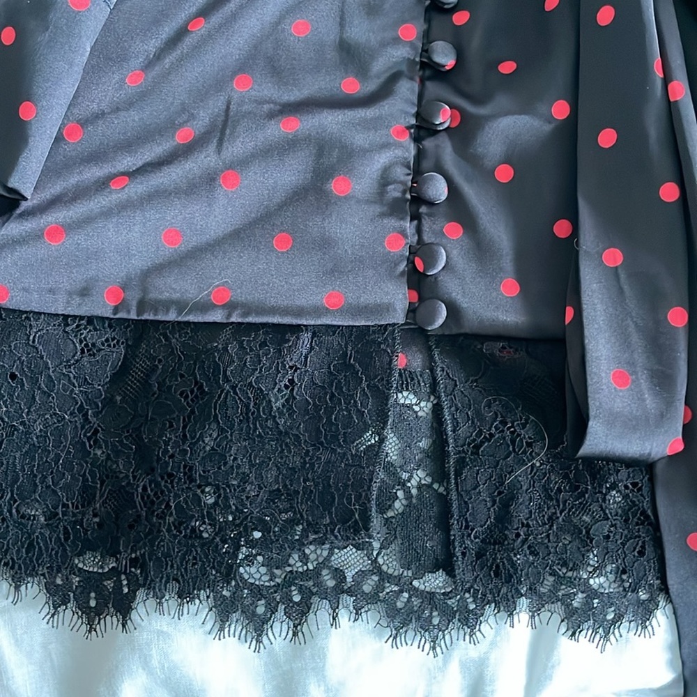 NWT. FL&L Victoria’s Secret sexy, sheer robe. - Picture 4 of 7